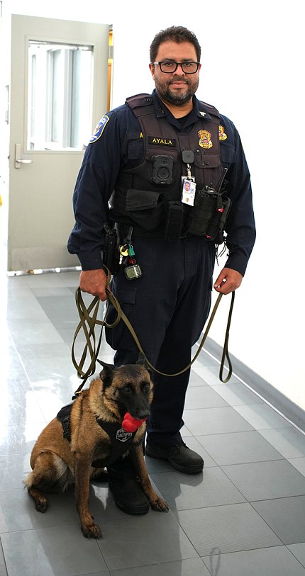 A police officer poses in a hallway with his canine partner.