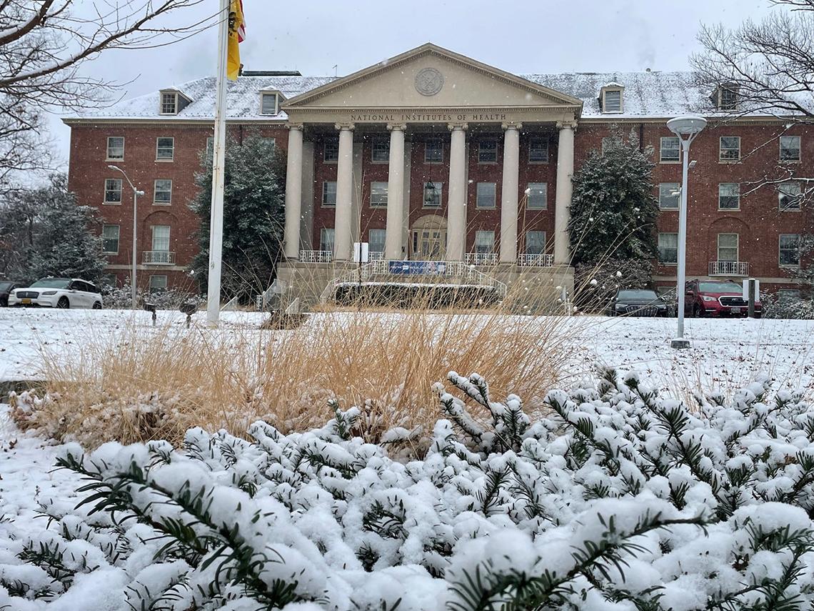 A snowy lawn leads to a large brick building with columns in front.